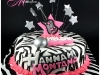 hannah-montana