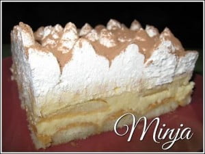 Torta sa kiselom pavlakom